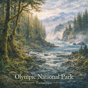 Olympic National Park