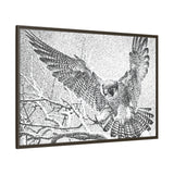 Peregrine Falcon in Flight, Tuktut Nogait National Park
