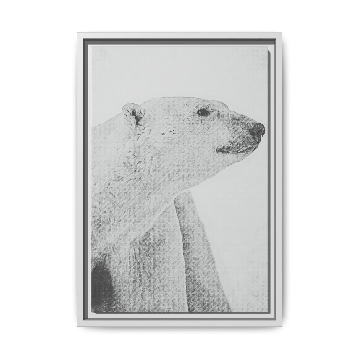 Polar Bear Portrait, Ukkusiksalik National Park