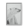 Polar Bear Portrait, Ukkusiksalik National Park