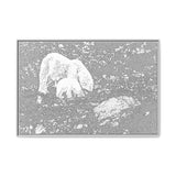 Polar Bear and Cub on the Shore, Torngat Mountains