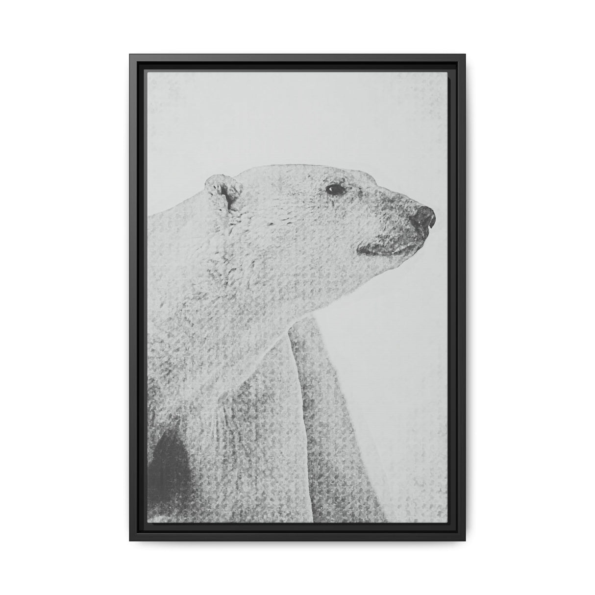 Polar Bear Portrait, Ukkusiksalik National Park