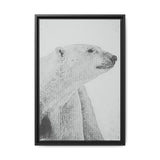 Polar Bear Portrait, Ukkusiksalik National Park