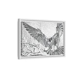 Peregrine Falcon in Flight, Tuktut Nogait National Park