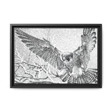 Peregrine Falcon in Flight, Tuktut Nogait National Park