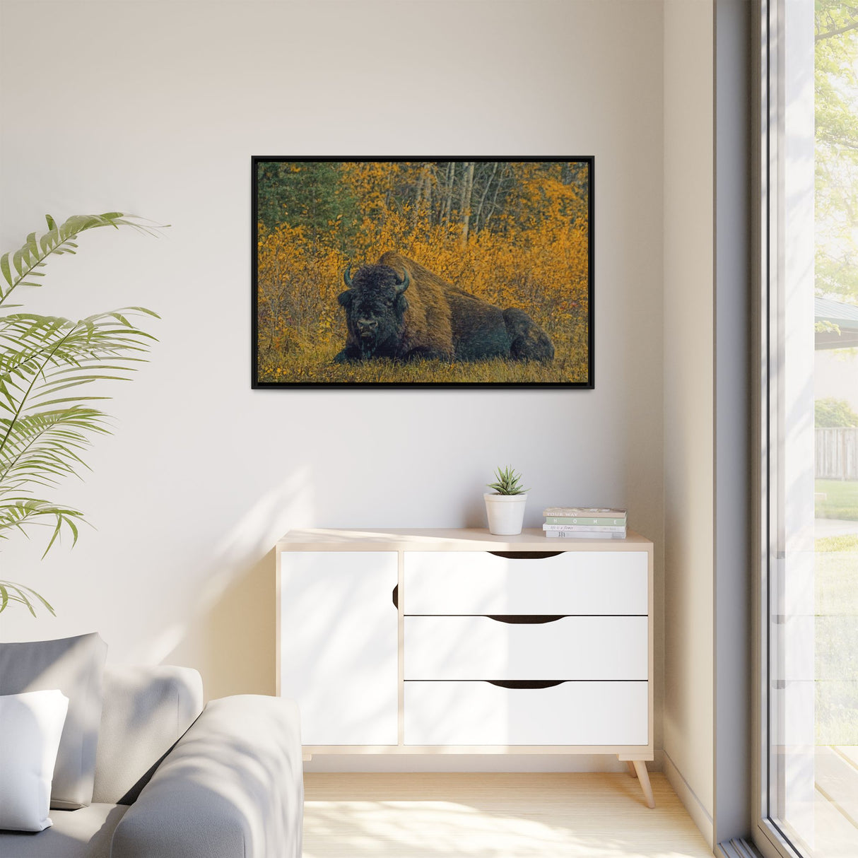 Resting Bison in Autumn, Wood Buffalo National Park