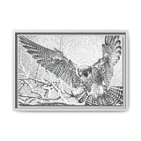 Peregrine Falcon in Flight, Tuktut Nogait National Park