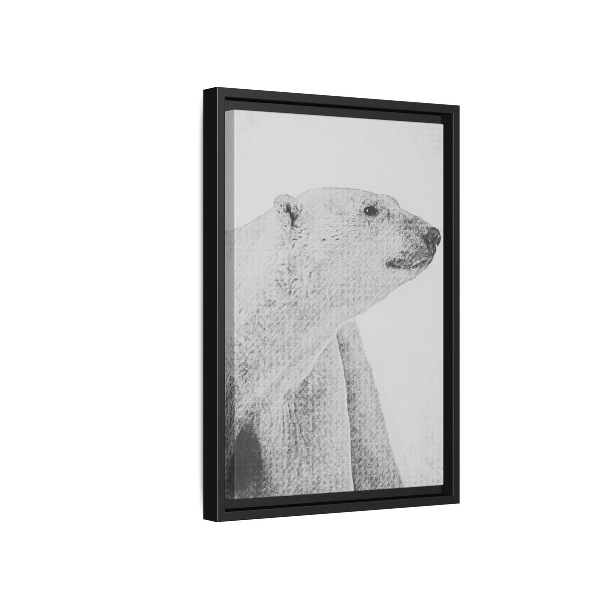 Polar Bear Portrait, Ukkusiksalik National Park