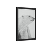 Polar Bear Portrait, Ukkusiksalik National Park