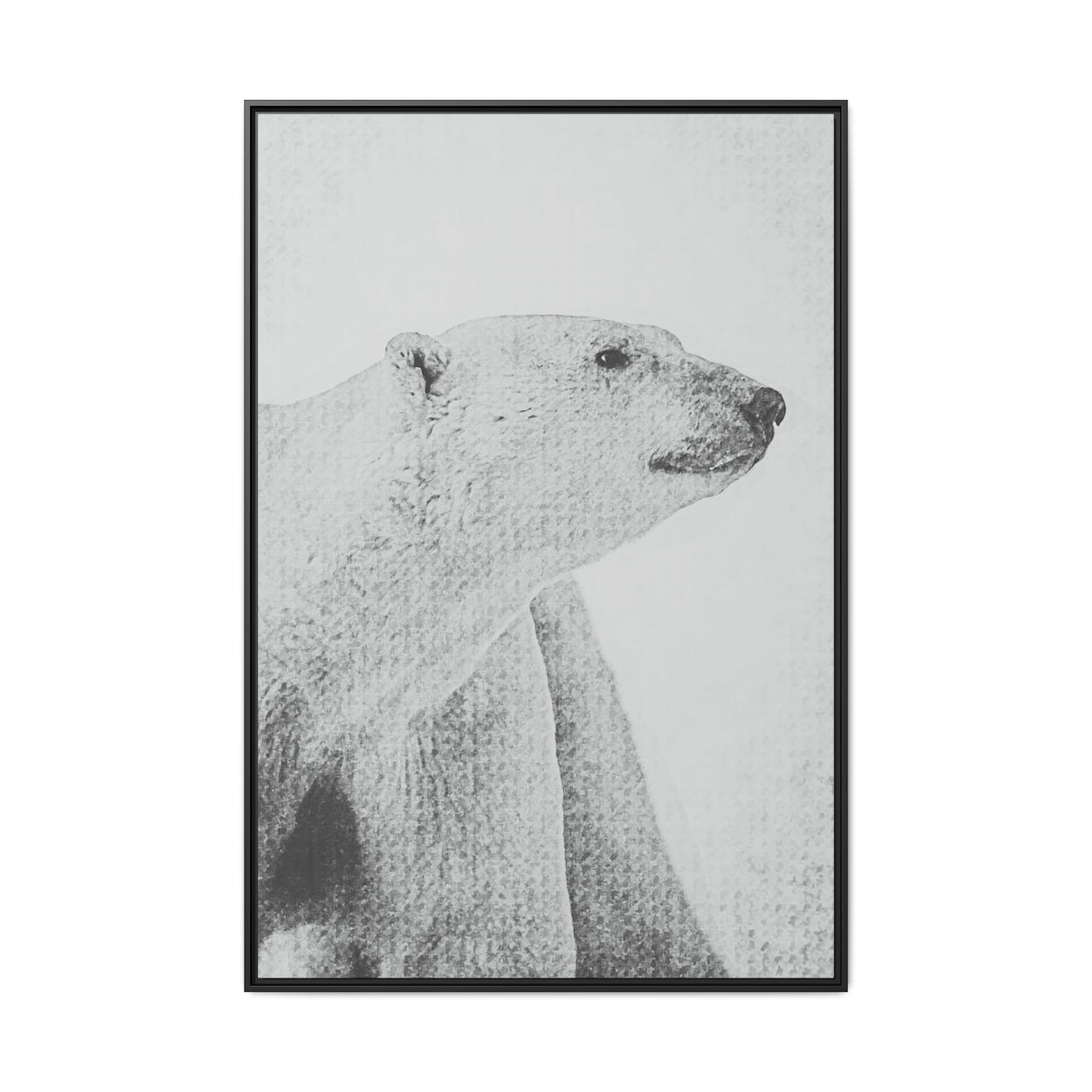Polar Bear Portrait, Ukkusiksalik National Park