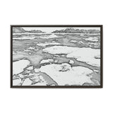 Polar Bear on Sea Ice, Northeast Greenland National Park