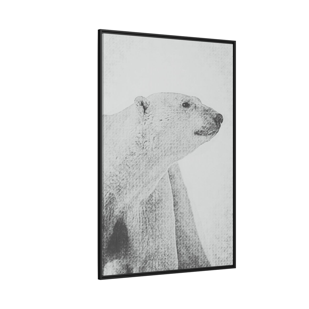 Polar Bear Portrait, Ukkusiksalik National Park