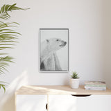 Polar Bear Portrait, Ukkusiksalik National Park