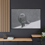 Arctic Fox in Snowfall, Quttinirpaaq National Park
