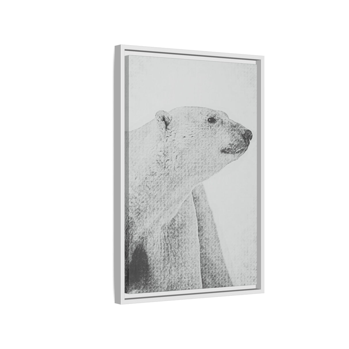 Polar Bear Portrait, Ukkusiksalik National Park