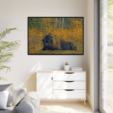 Resting Bison in Autumn, Wood Buffalo National Park