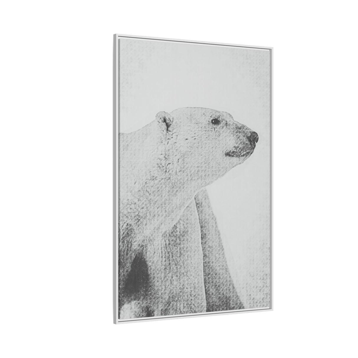 Polar Bear Portrait, Ukkusiksalik National Park