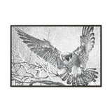 Peregrine Falcon in Flight, Tuktut Nogait National Park