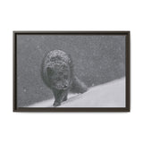 Arctic Fox in Snowfall, Quttinirpaaq National Park