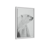 Polar Bear Portrait, Ukkusiksalik National Park
