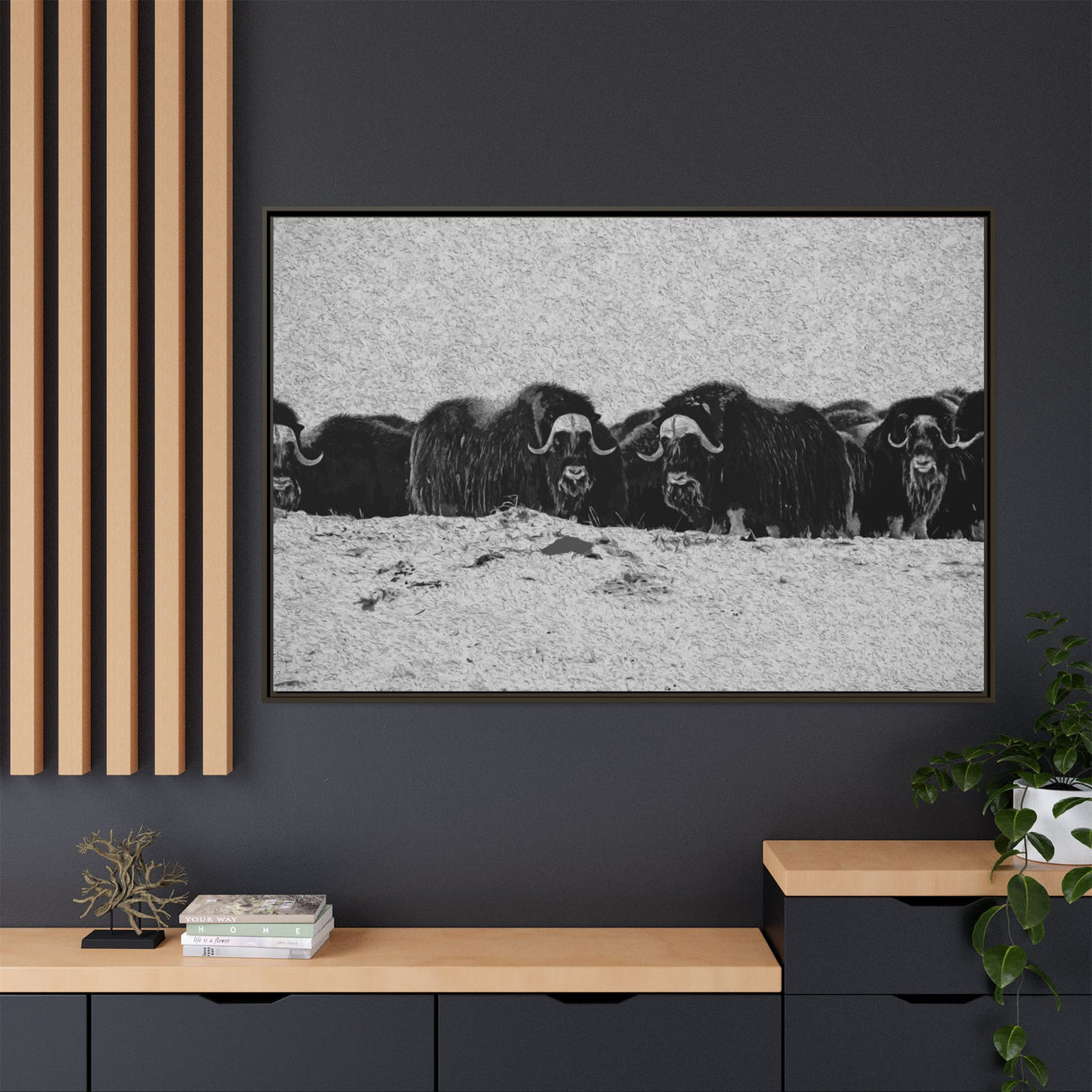 Musk Oxen in Winter