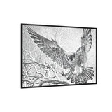 Peregrine Falcon in Flight, Tuktut Nogait National Park