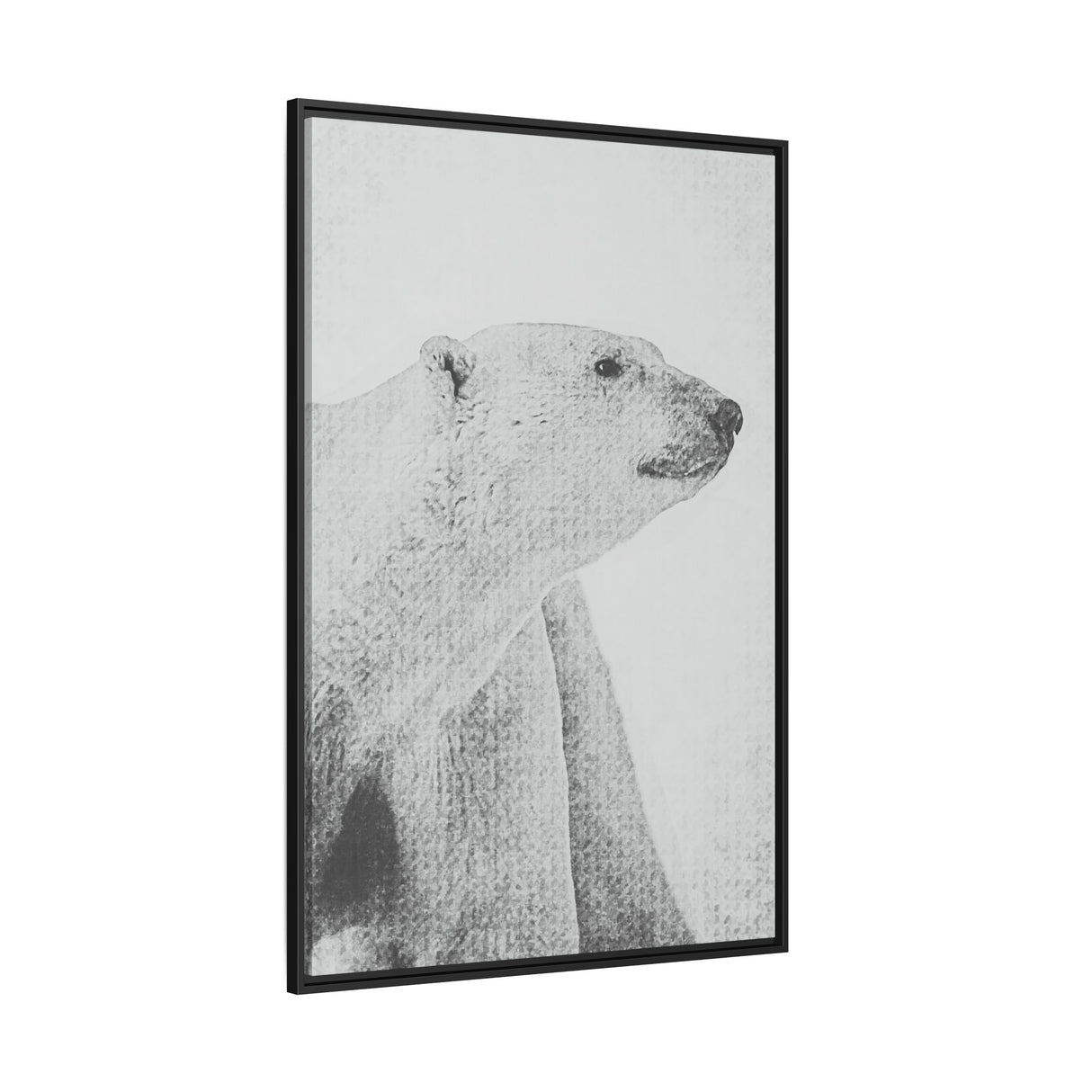Polar Bear Portrait, Ukkusiksalik National Park