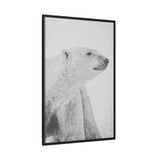 Polar Bear Portrait, Ukkusiksalik National Park
