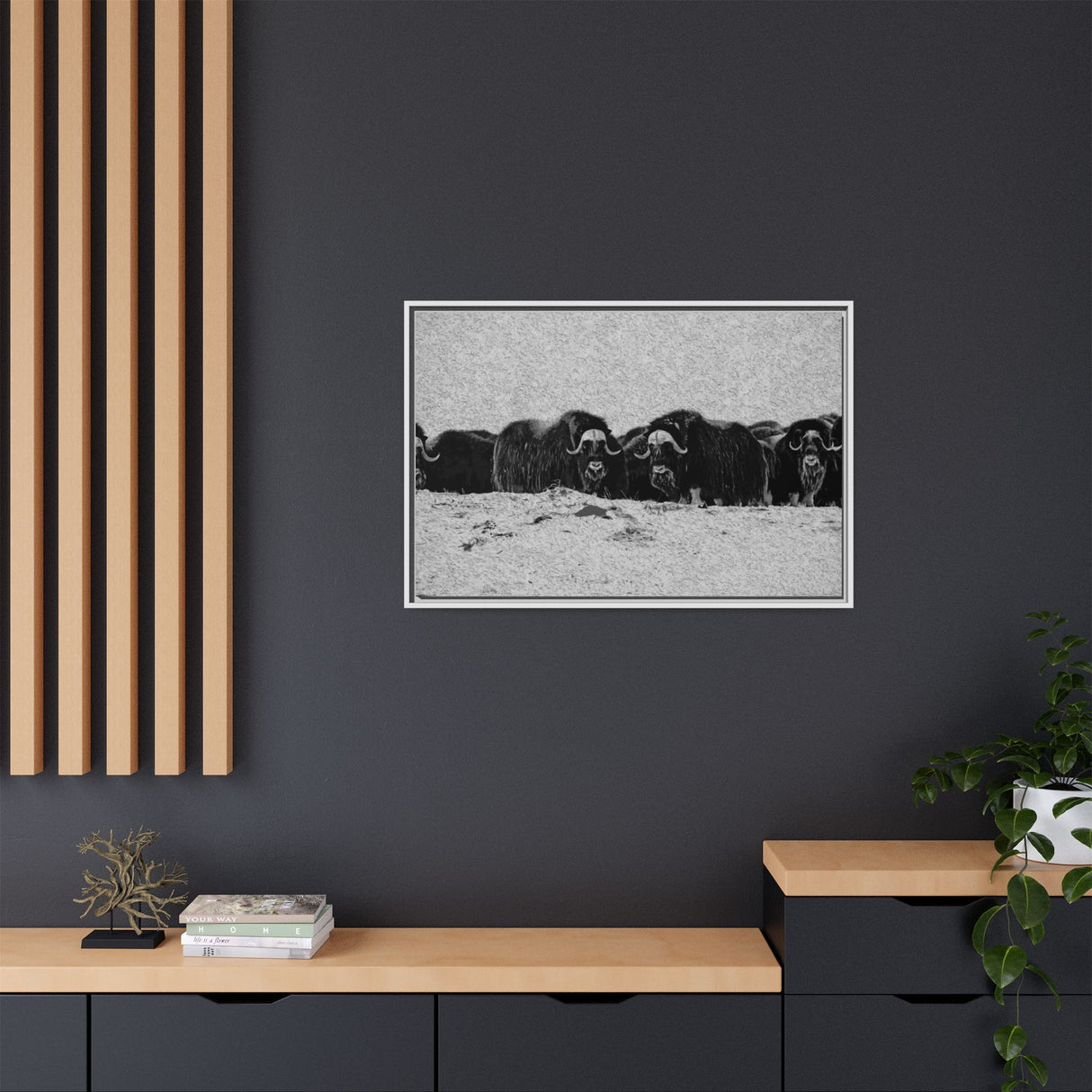 Musk Oxen in Winter