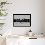 Musk Oxen in Winter