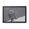 Arctic Fox in Snowfall, Quttinirpaaq National Park