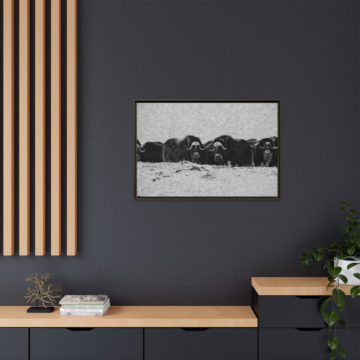 Musk Oxen in Winter