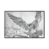 Peregrine Falcon in Flight, Tuktut Nogait National Park