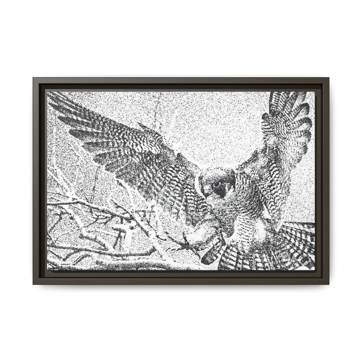 Peregrine Falcon in Flight, Tuktut Nogait National Park