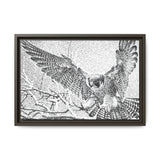 Peregrine Falcon in Flight, Tuktut Nogait National Park
