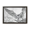 Peregrine Falcon in Flight, Tuktut Nogait National Park