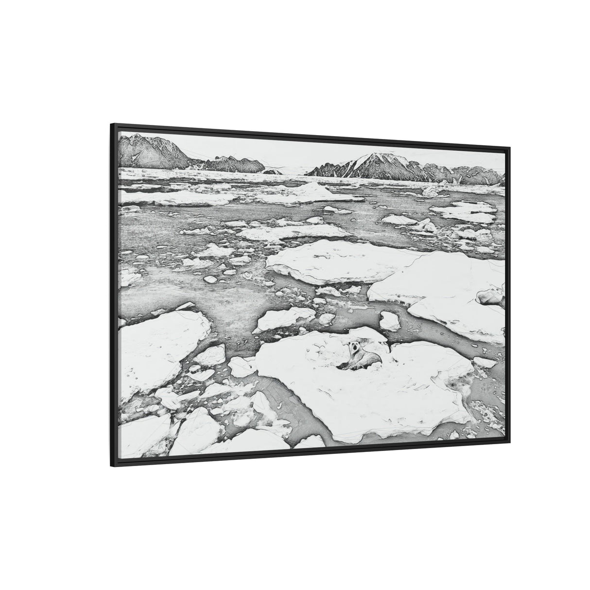 Polar Bear on Sea Ice, Northeast Greenland National Park