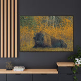 Resting Bison in Autumn, Wood Buffalo National Park
