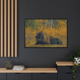 Resting Bison in Autumn, Wood Buffalo National Park