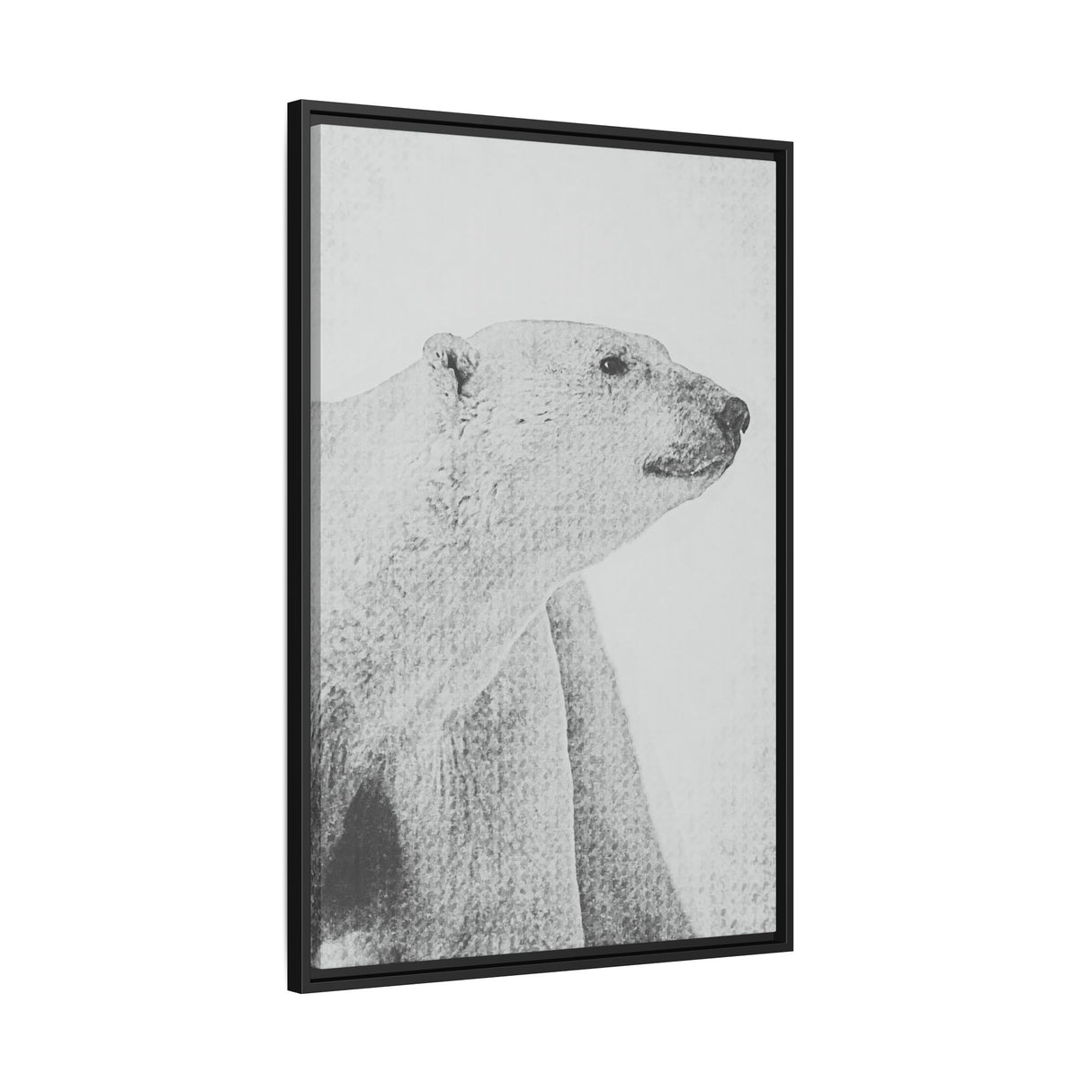 Polar Bear Portrait, Ukkusiksalik National Park