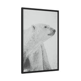 Polar Bear Portrait, Ukkusiksalik National Park