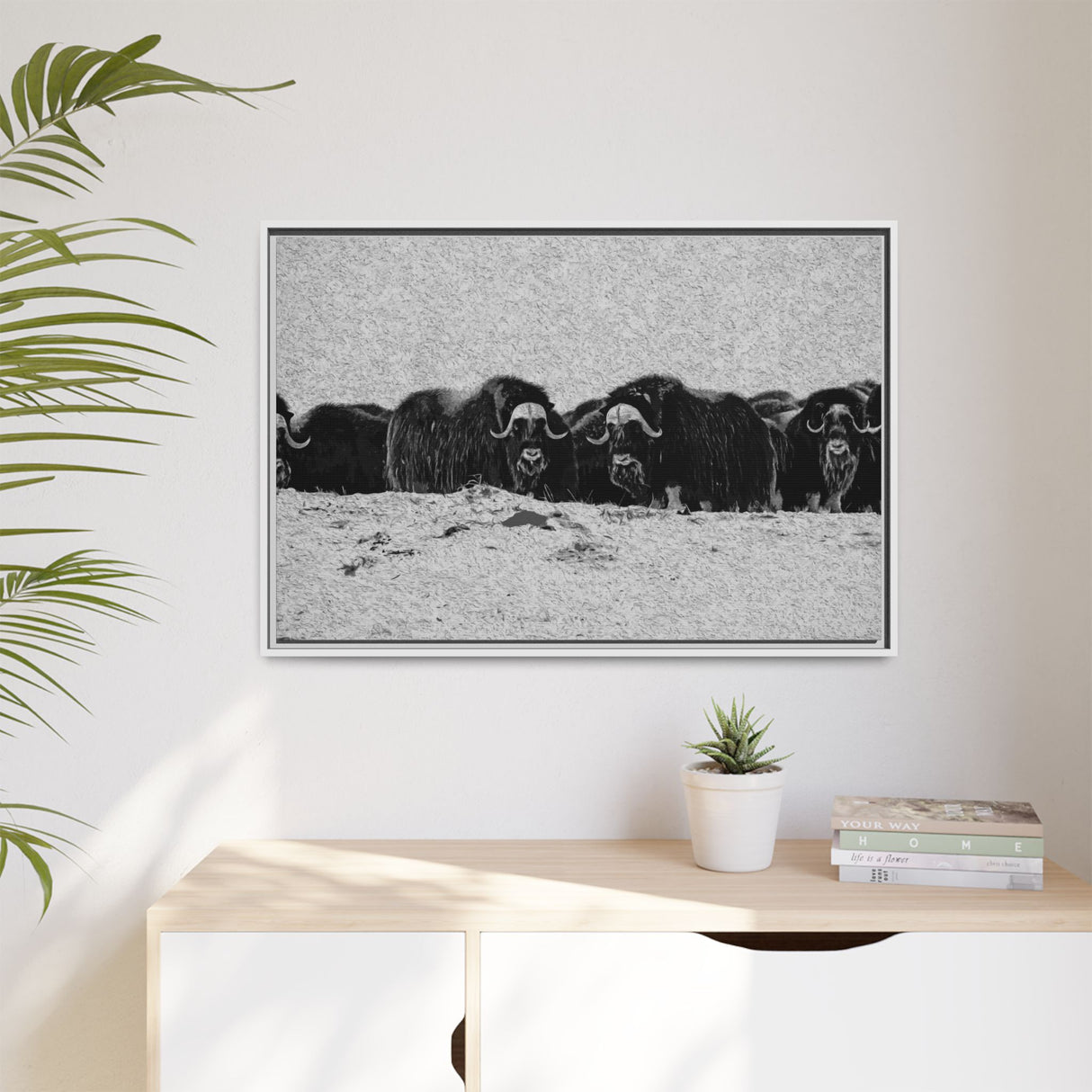 Musk Oxen in Winter