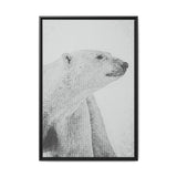 Polar Bear Portrait, Ukkusiksalik National Park