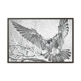 Peregrine Falcon in Flight, Tuktut Nogait National Park