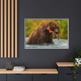 Brown Bear Fishing for Salmon, Katmai National Park