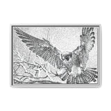 Peregrine Falcon in Flight, Tuktut Nogait National Park