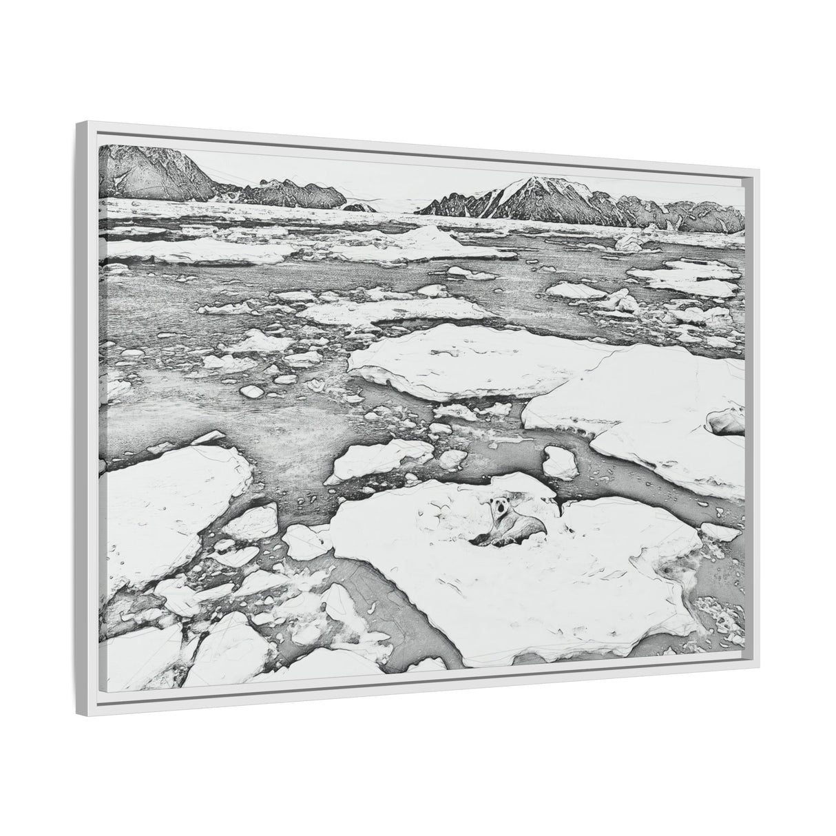 Polar Bear on Sea Ice, Northeast Greenland National Park