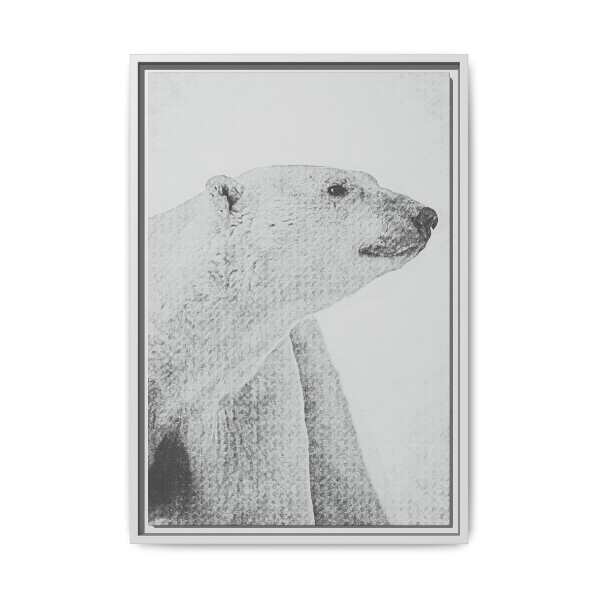 Polar Bear Portrait, Ukkusiksalik National Park