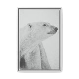Polar Bear Portrait, Ukkusiksalik National Park