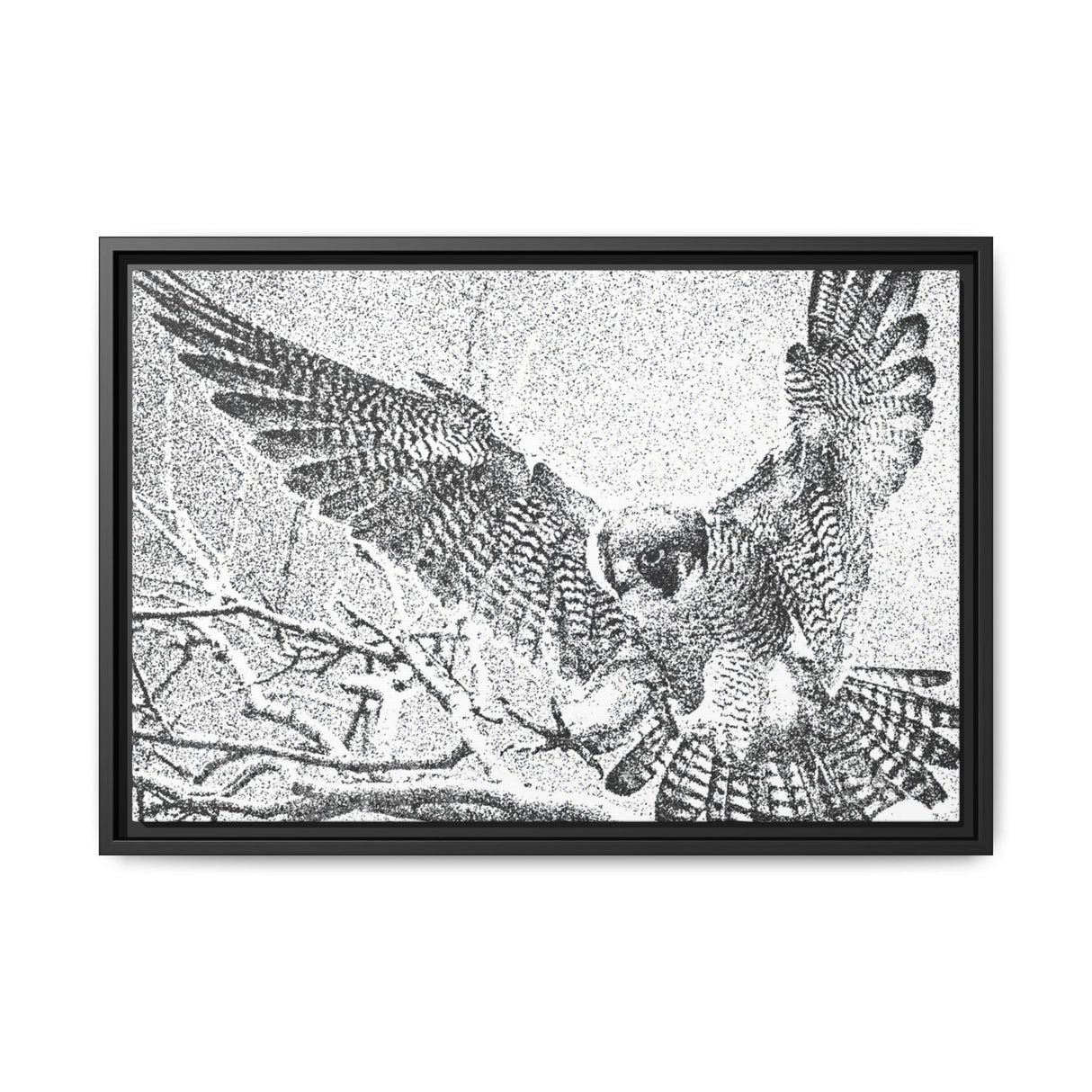 Peregrine Falcon in Flight, Tuktut Nogait National Park